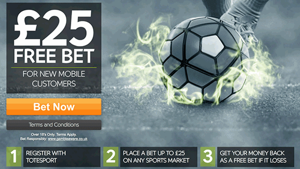 totesport moneyback bonus teklifi